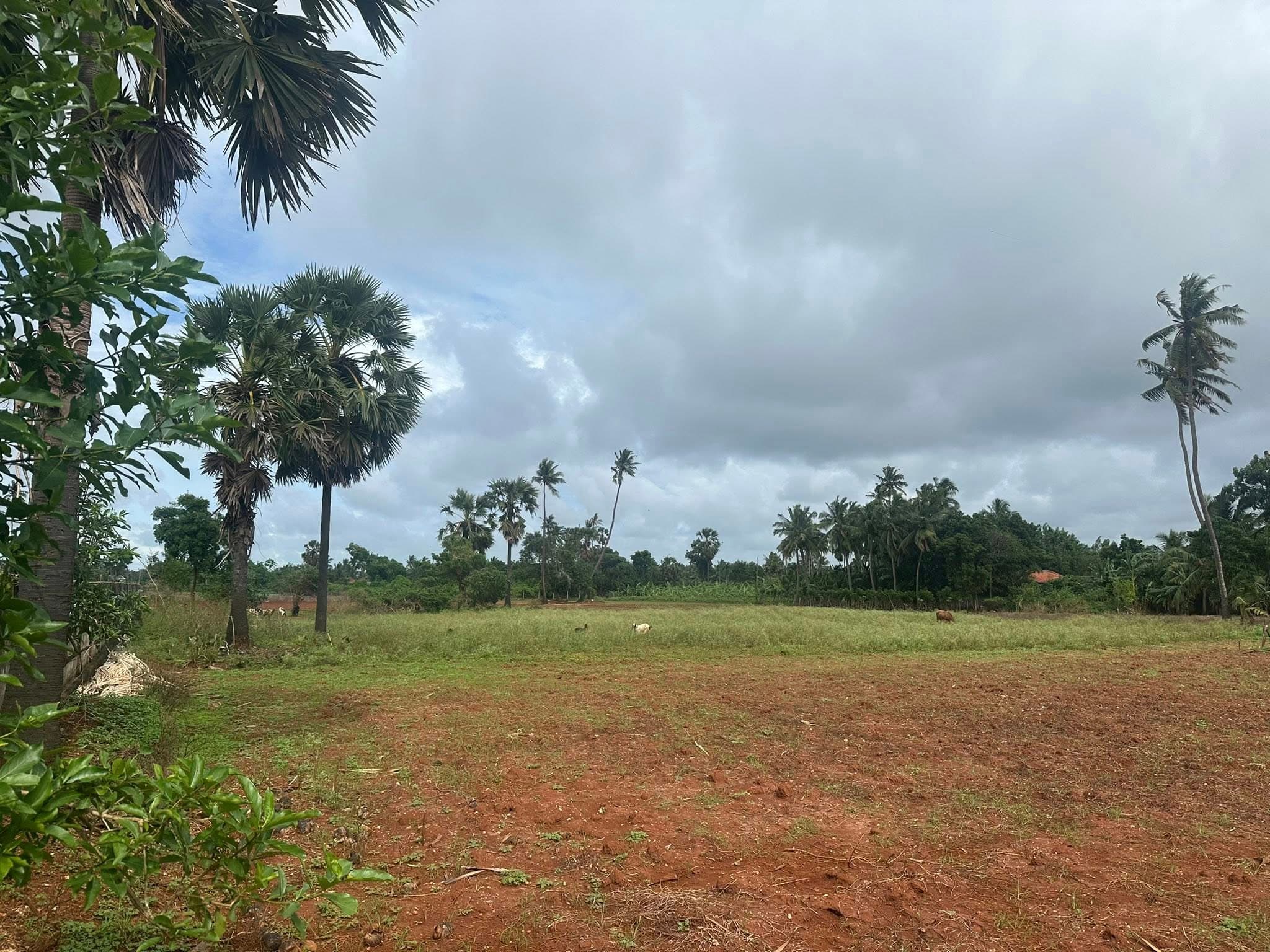 20 Parappu land for sale in Punnalaikkadduvan 