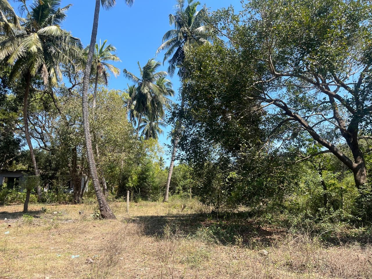கொடிகாமத்தில் காணி விற்பனைக்கு photo 5