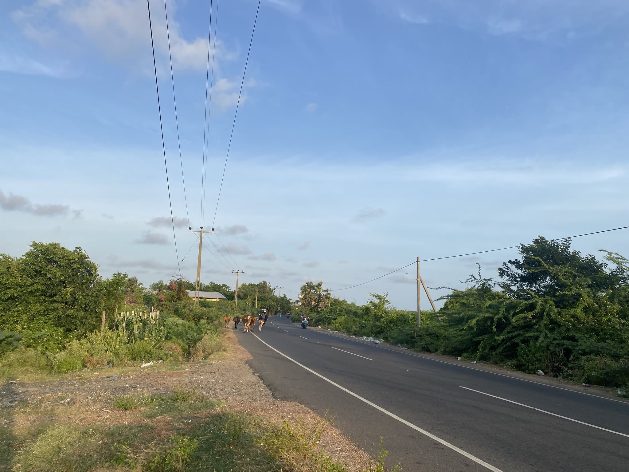 40 Parappu land for sale in Jaffna Ponnalai Road 4