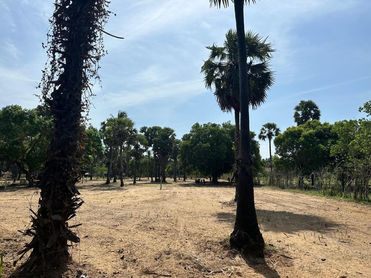 4 Parappu land for sale in Meesalai 2