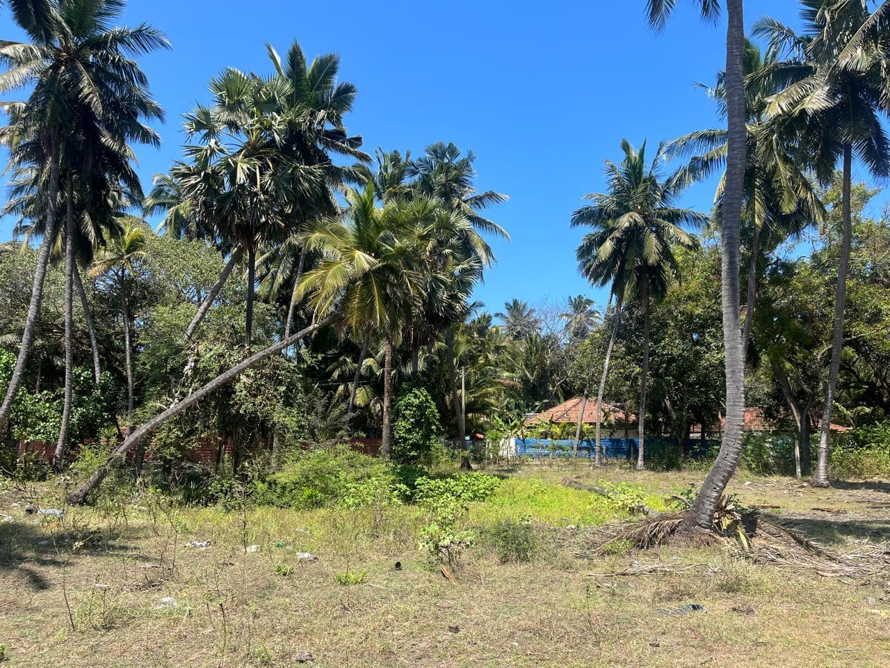 கொடிகாமத்தில் காணி விற்பனைக்கு