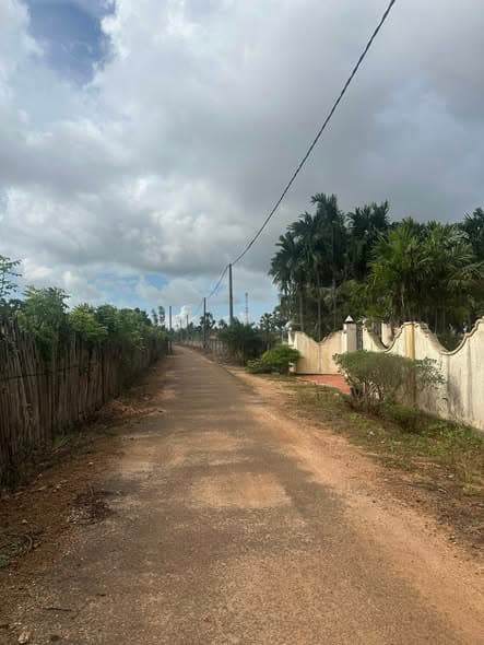 20 Parappu land for sale in Punnalaikkadduvan  3