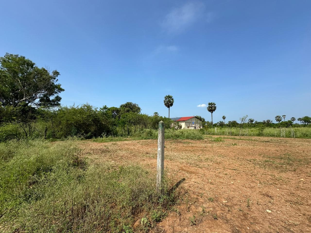Land for Sale in Tellippalai  3