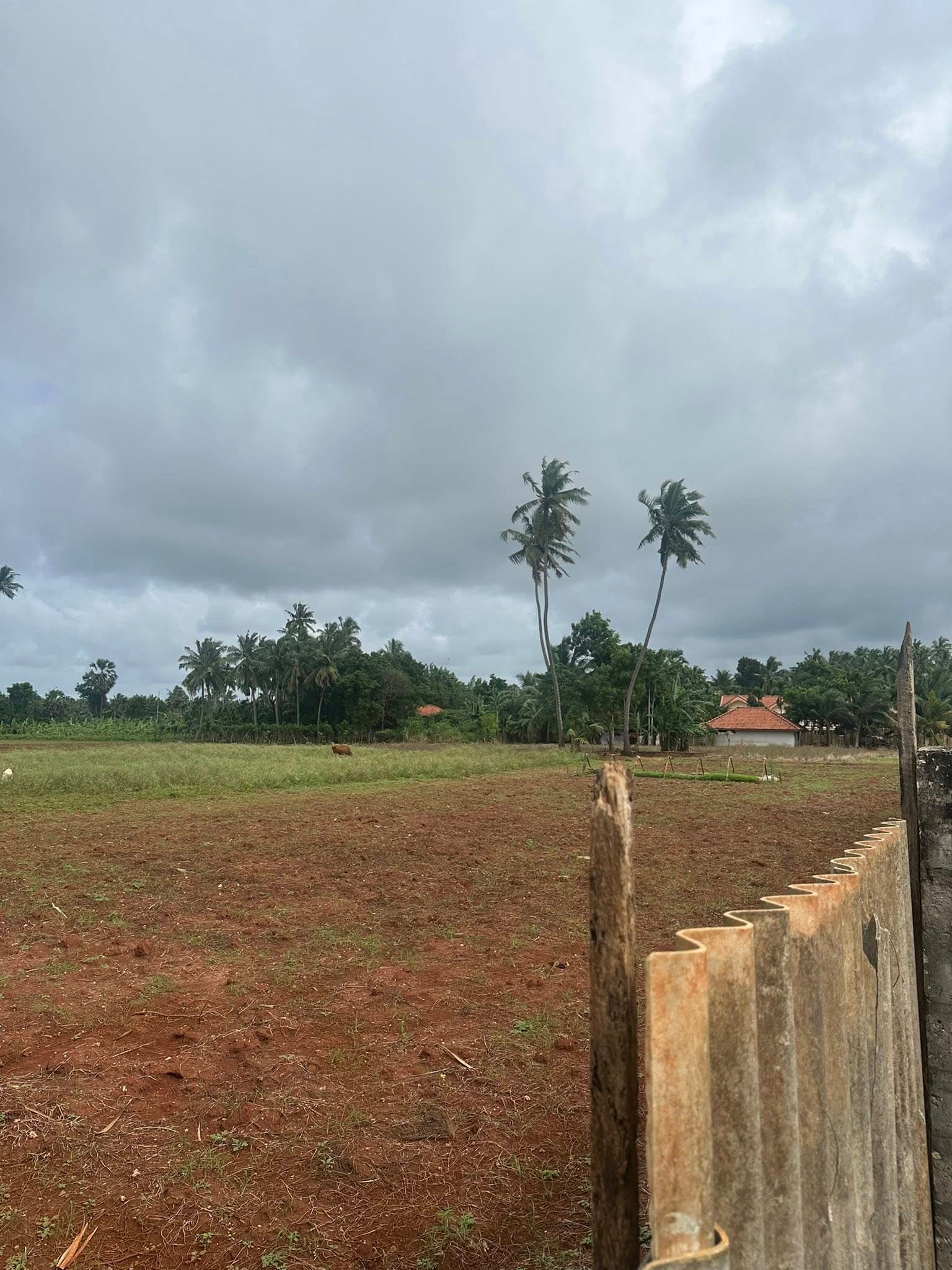 20 Parappu land for sale in Punnalaikkadduvan  4
