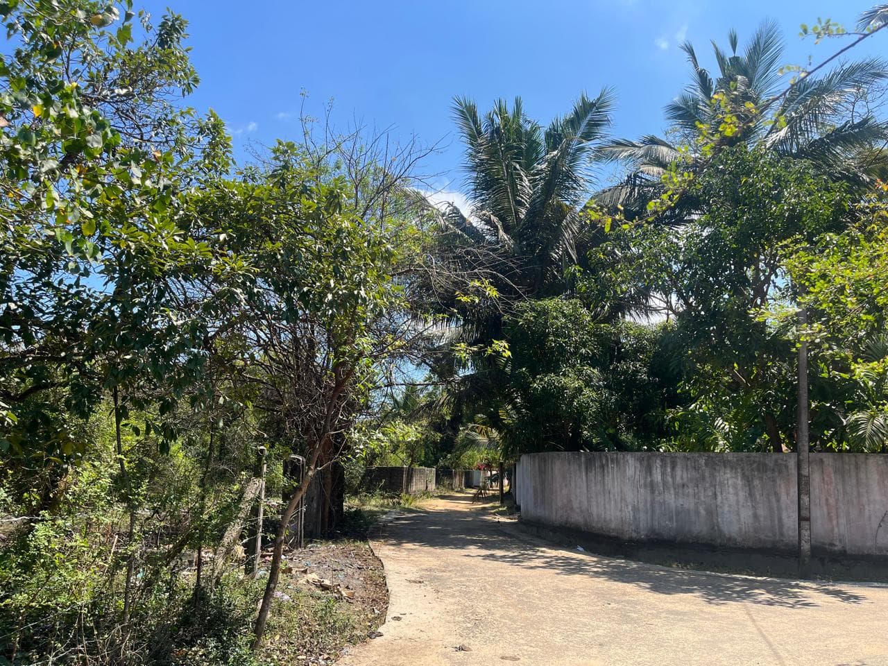 கொடிகாமத்தில் காணி விற்பனைக்கு photo 2