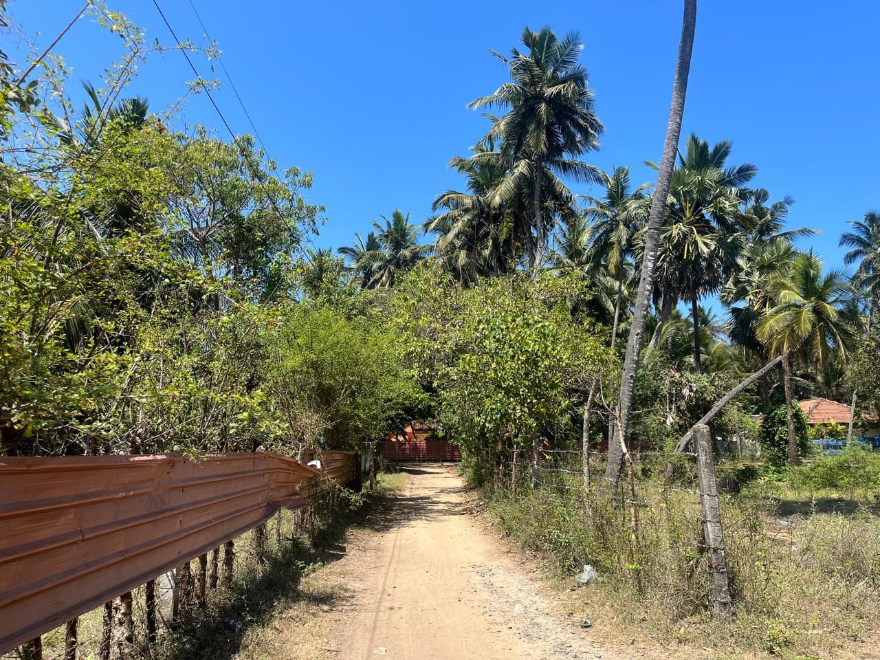 கொடிகாமத்தில் காணி விற்பனைக்கு photo 3