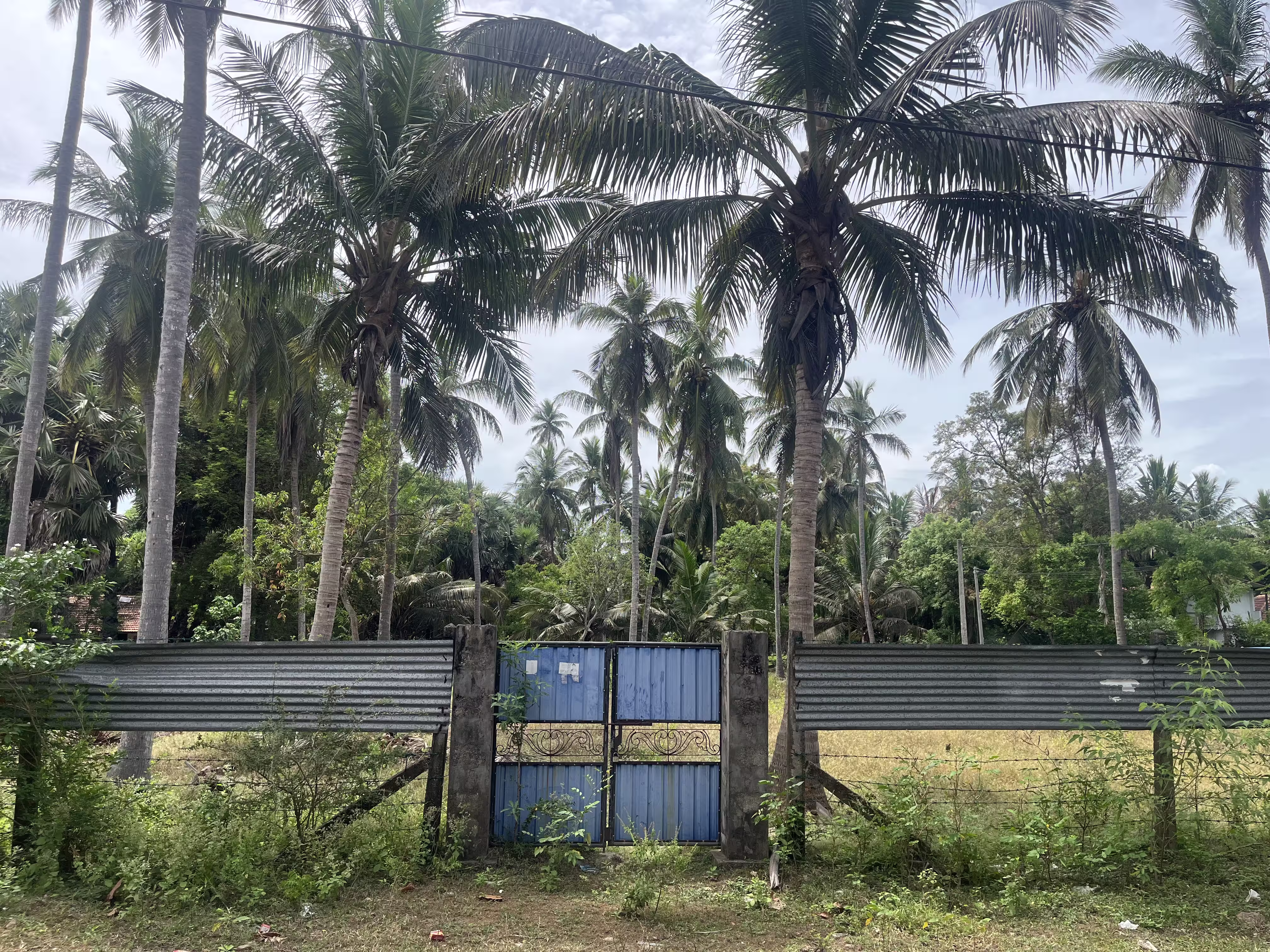 இருபாலை பகுதியில் காணி விற்பனைக்கு photo 4