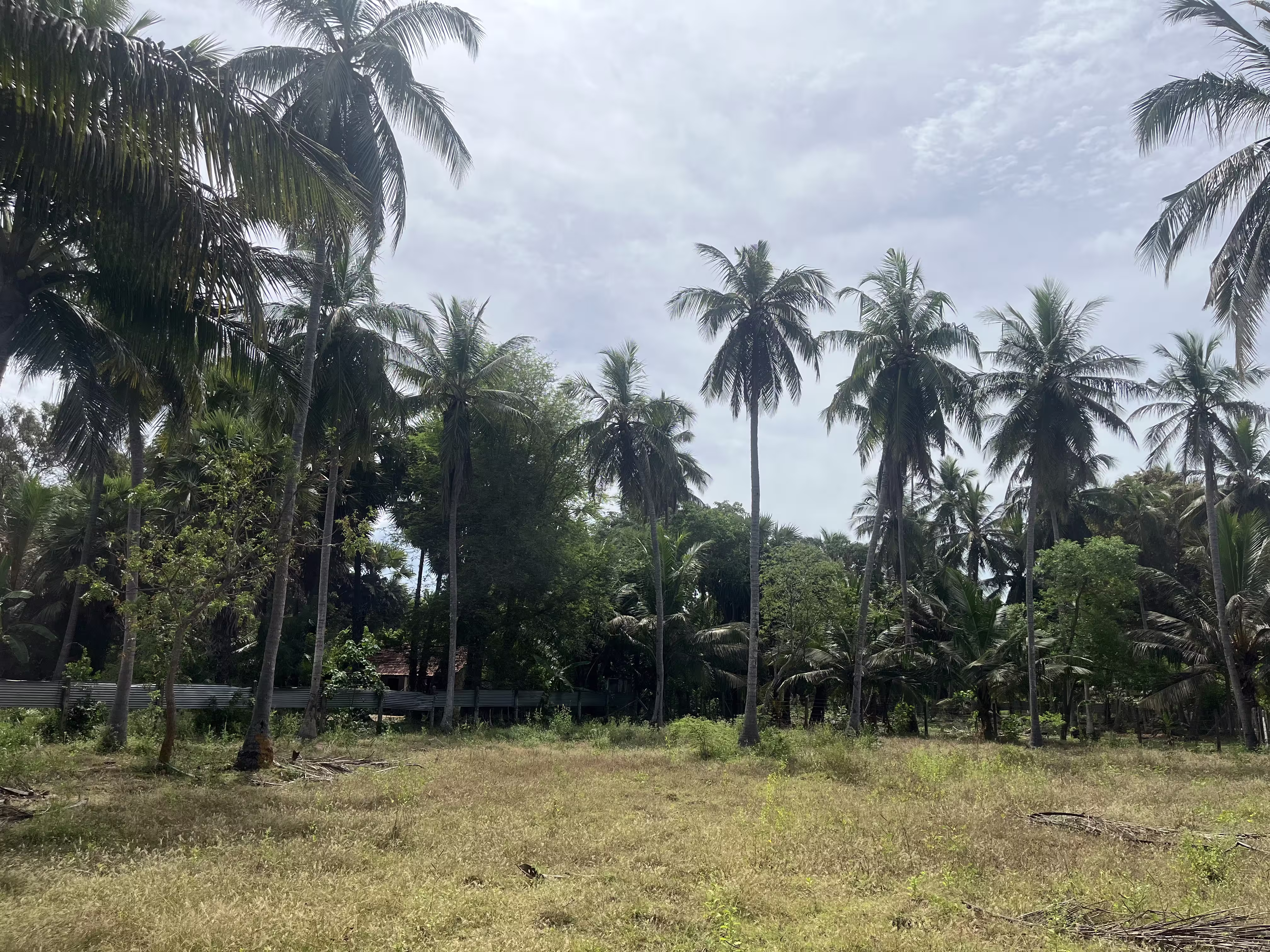 இருபாலை பகுதியில் காணி விற்பனைக்கு photo 2
