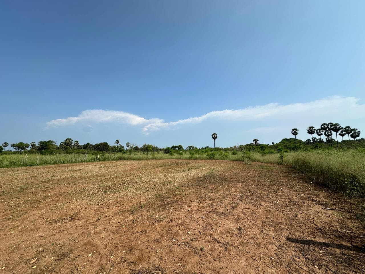Land for Sale in Tellippalai  2