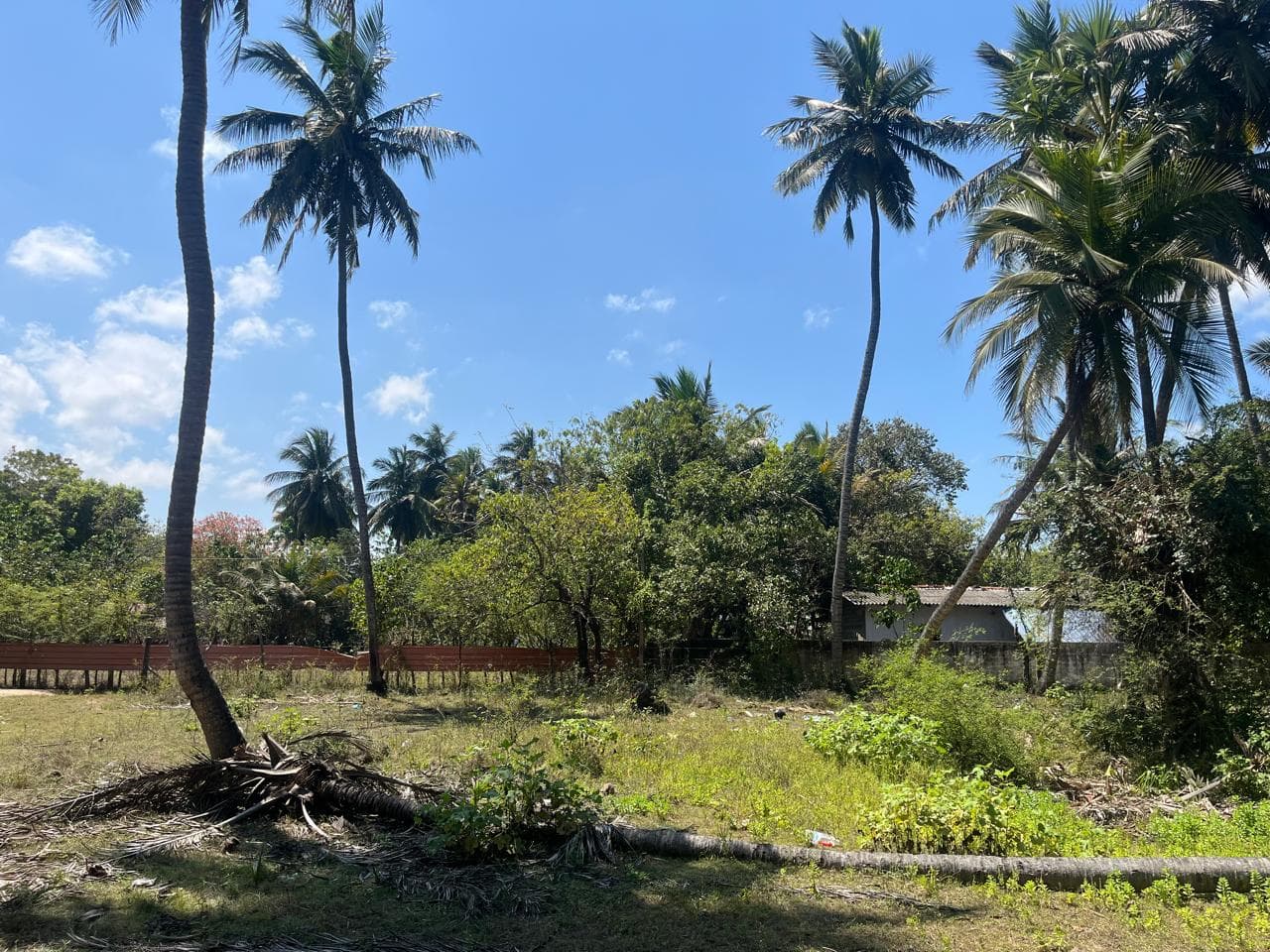 கொடிகாமத்தில் காணி விற்பனைக்கு photo 6