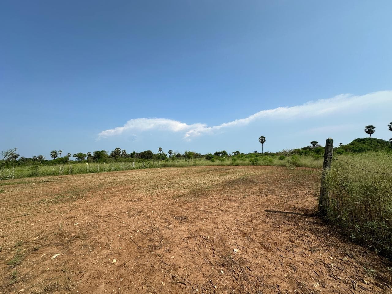 Land for Sale in Tellippalai 