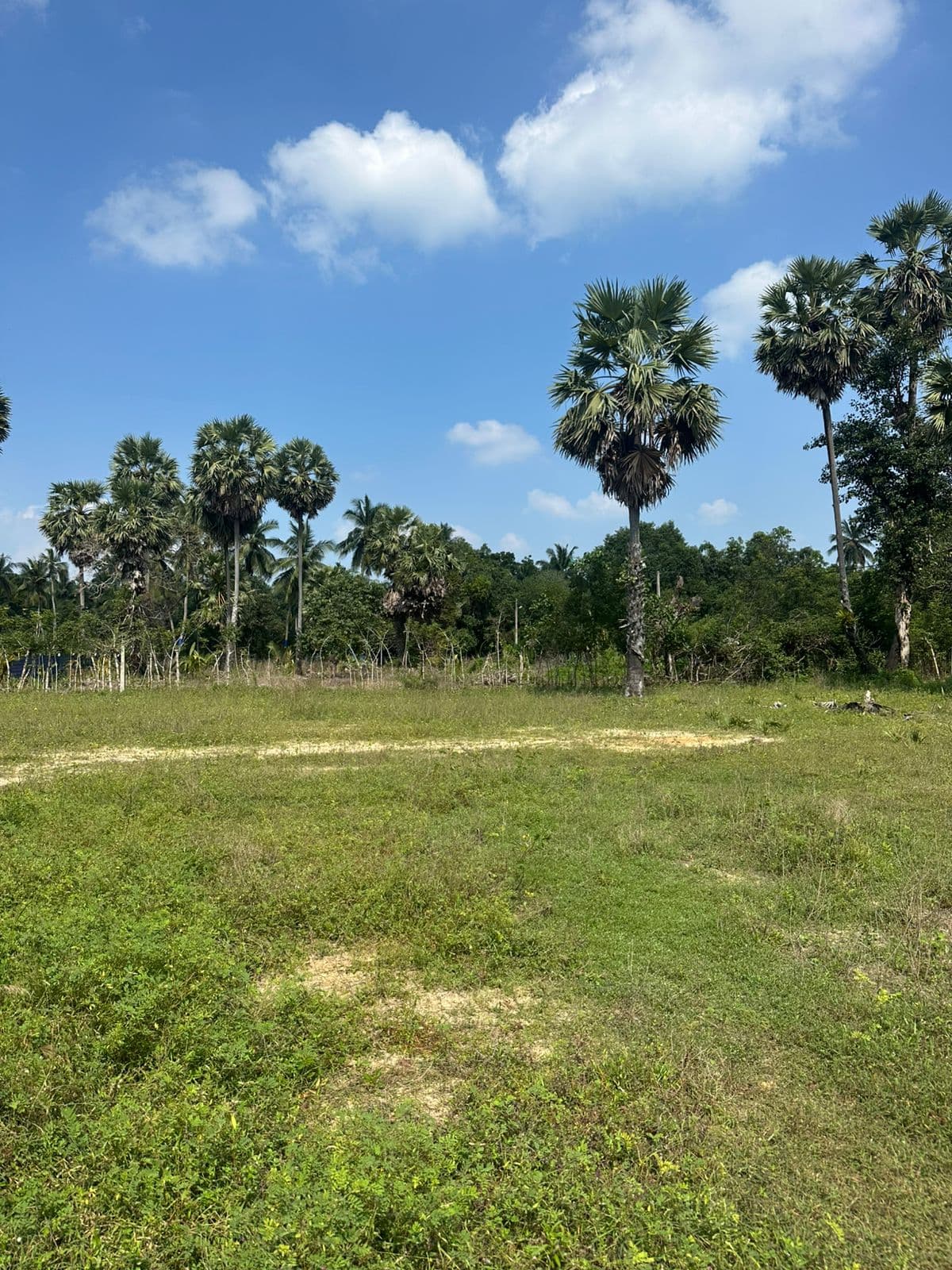 8 Parappu Land for Sale in Meesalai