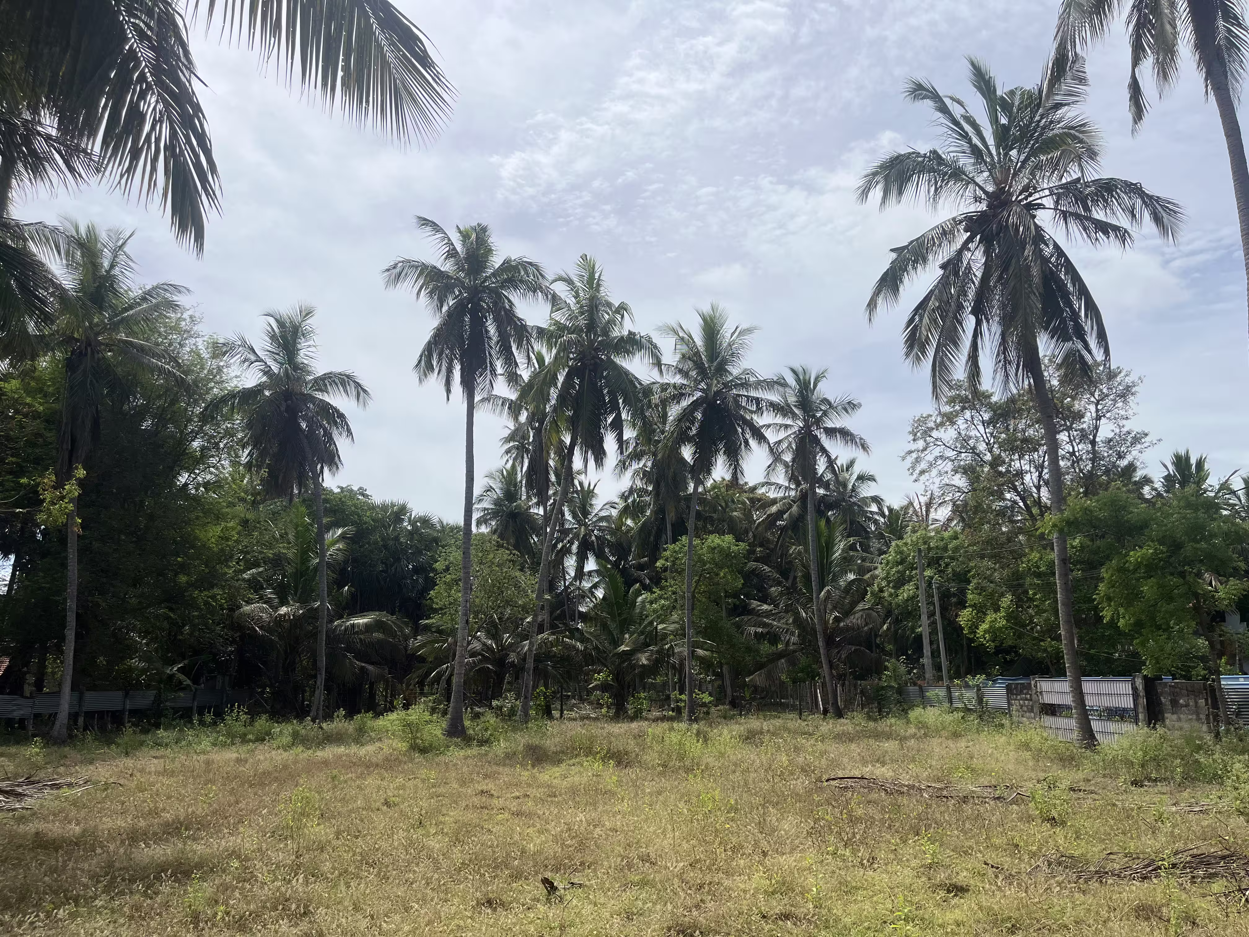 இருபாலை பகுதியில் காணி விற்பனைக்கு