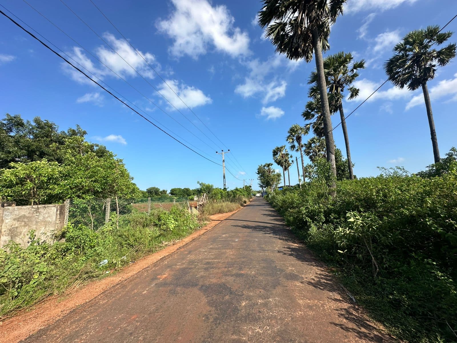 40 Parappu land for sale in Vasavilan Jaffna